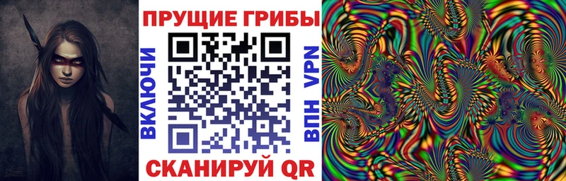 купить   сайты даркнета официальный сайт  Галлюциногенные грибы мицелий  Туран  KRAKEN зеркало 